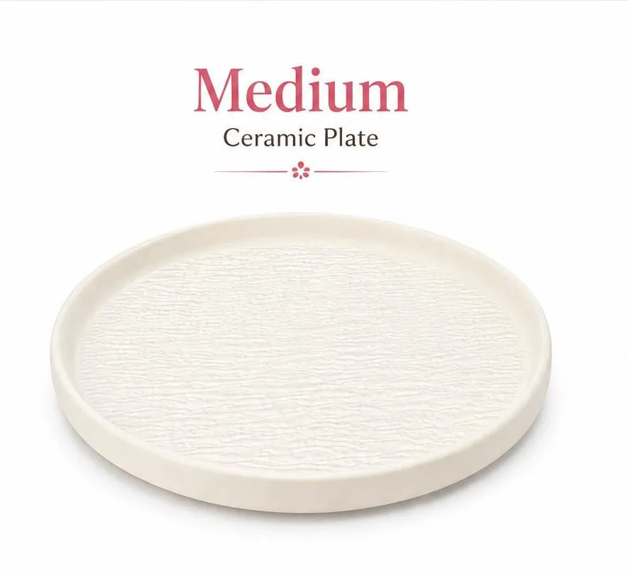 Elegant 10-Inch Ceramic Medium Plate For Snacks, Desserts & Everyday Serving._BGZ-018B — White